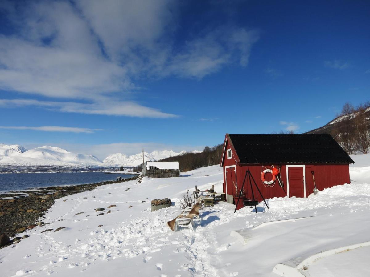 Olderdalen Ski Camp Exteriér fotografie