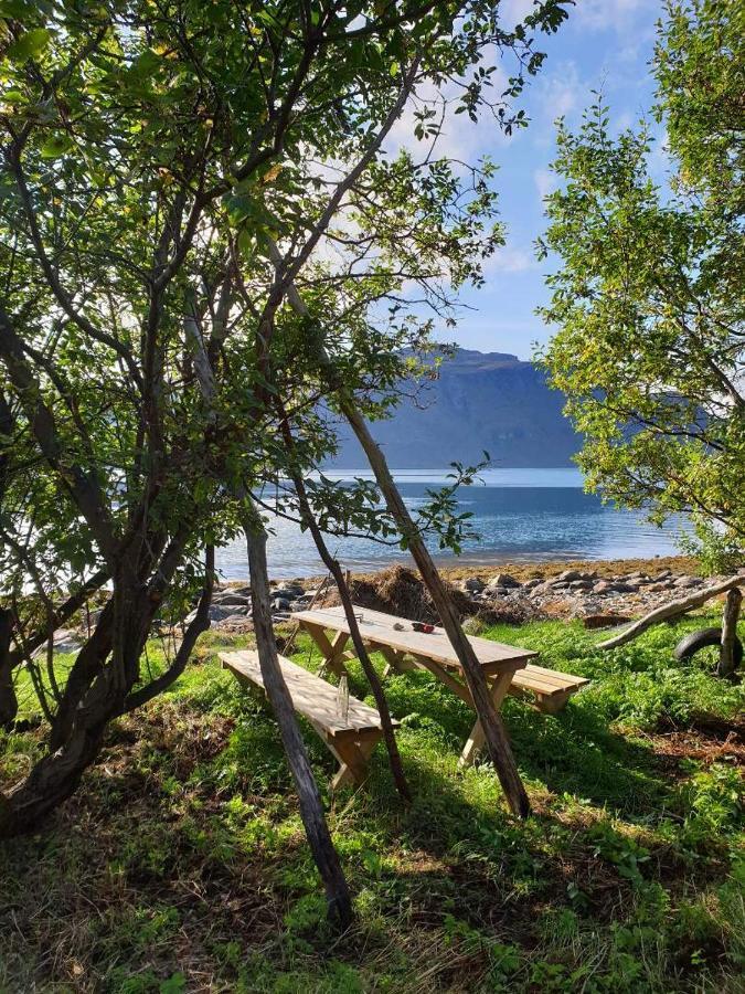 Olderdalen Ski Camp Exteriér fotografie