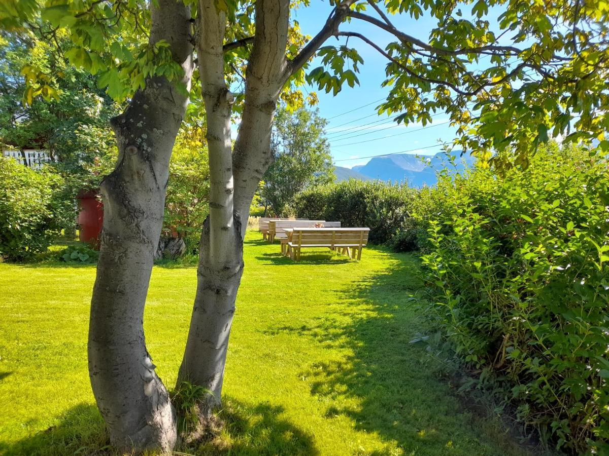 Olderdalen Ski Camp Exteriér fotografie