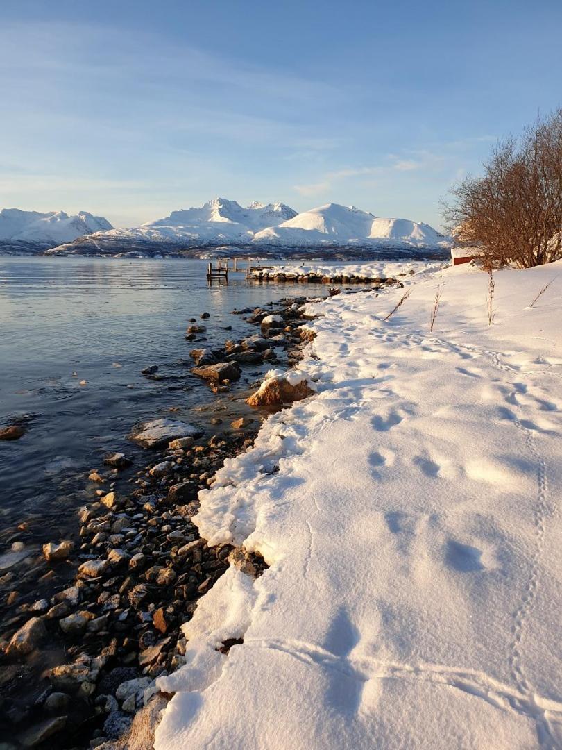 Olderdalen Ski Camp Exteriér fotografie