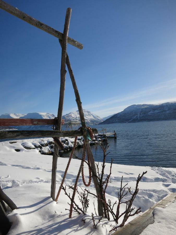 Olderdalen Ski Camp Exteriér fotografie