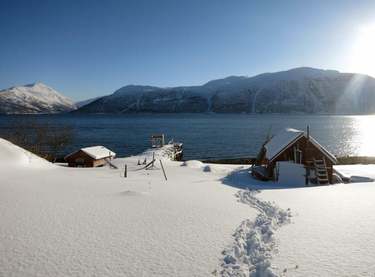 Olderdalen Ski Camp Exteriér fotografie